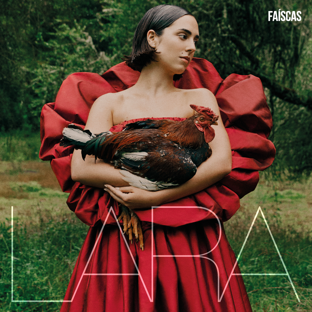 Capas de disco